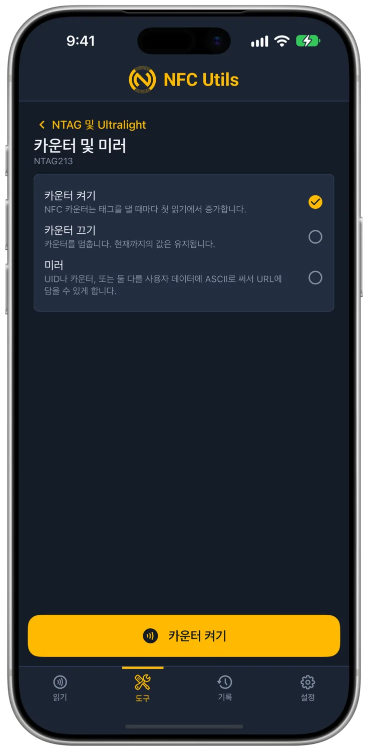 카운터 및 미러 페이지