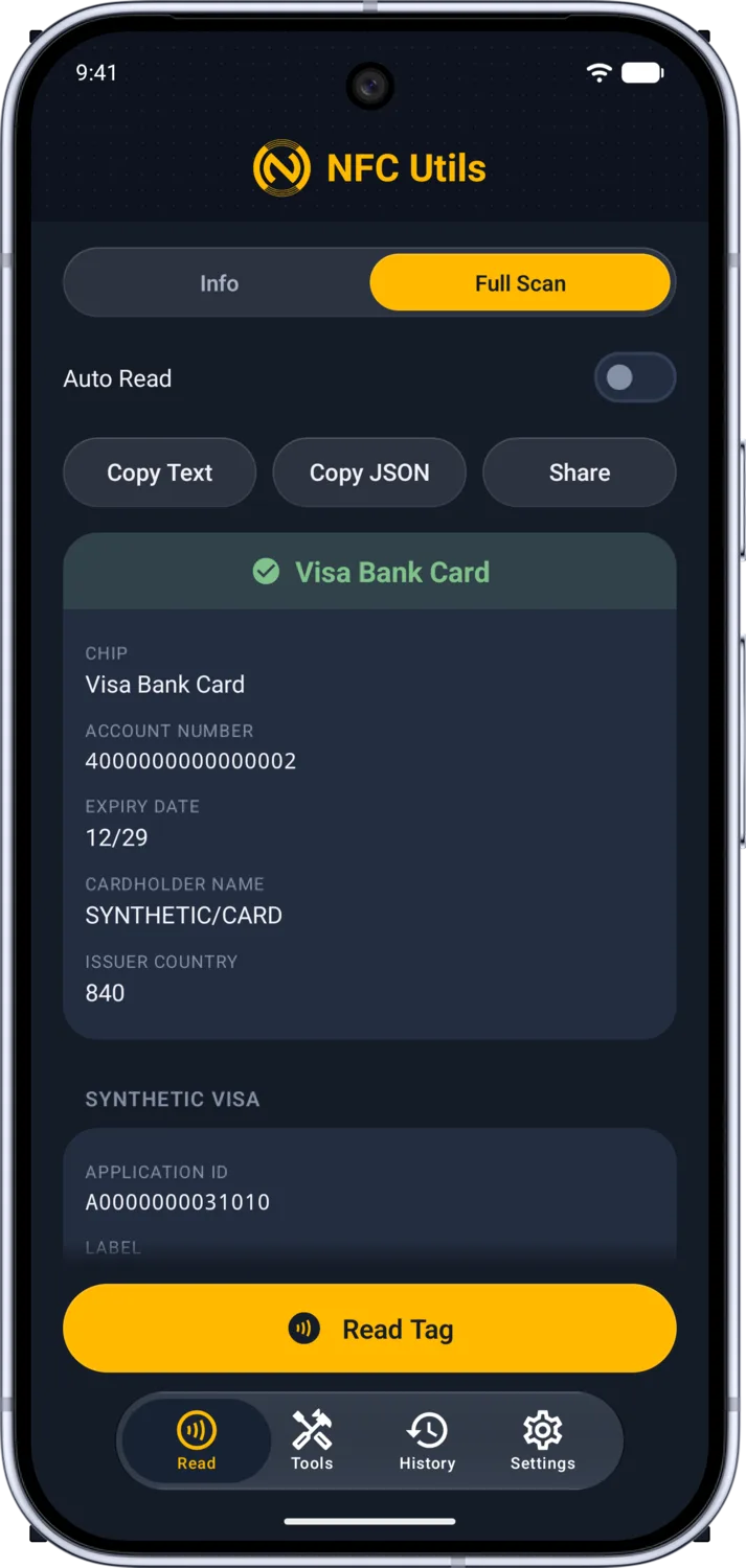 Full Scan shows synthetic Visa account details and the SYNTHETIC VISA application.